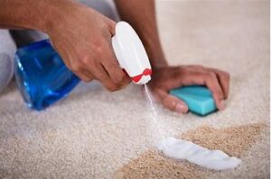 There are many commercial stain removers designed for different types of stains.