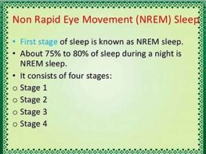 There are four stages of Non-REM sleep.