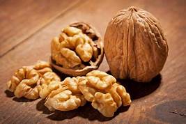 The large, wrinkled edible seed of walnuts consists of two or three segments enclosed by a hard shell and a green fruit.