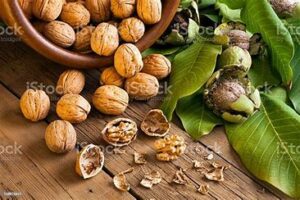 Benefits of walnuts. green walnut feature image