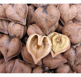 Heartnuts are a unique type of walnut with a heart-shaped kernel. They have a mild and slightly sweet flavor.