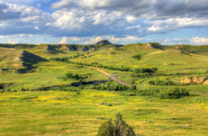 This park is known for its striking badland landscapes and the opportunity to see bison roaming in their natural habitat. It's a great spot for hiking and stargazing.