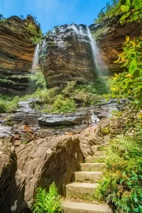 A popular spot for bushwalking and picnicking, Wentworth Falls is known for its impressive waterfall cascading down a deep canyon.