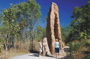 Located in the northern part of Litchfield National Park, the Magnetic Termite Mounds are a fascinating natural wonder worth exploring.