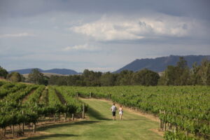 Hunter Valley, located in New South Wales, Australia, is a renowned wine region known for its picturesque vineyards and award-winning wineries.