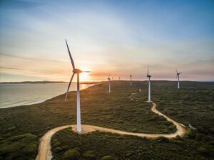Visit Australia’s largest wind farm and enjoy panoramic views of the Southern Ocean and surrounding countryside.