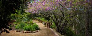 Wander through the beautifully landscaped gardens, featuring colorful blooms, native flora, and peaceful walking paths.