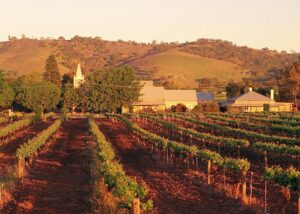 The Barossa Valley is a renowned wine region in South Australia, famous for its world-class wineries, gourmet food producers, and rich cultural heritage.