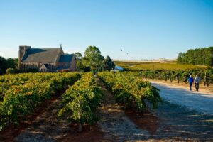 The Clare Valley is a scenic wine region in South Australia, known for its boutique wineries, historic towns, and rolling vineyards.