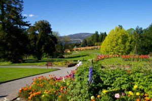 Located near the city center, the Royal Tasmanian Botanical Gardens is a peaceful oasis for visitors seeking tranquility and natural beauty.