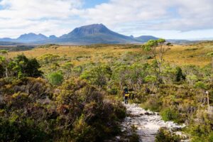 Hikers can marvel at breathtaking vistas of Cradle Mountain, Barn Bluff, and other iconic peaks along the way.