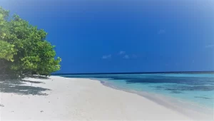 The main beach on Rasdhoo Island is a pristine stretch of white sand lined with swaying palm trees. Visitors can relax on the beach, swim in the crystal-clear waters, and enjoy breathtaking sunsets.