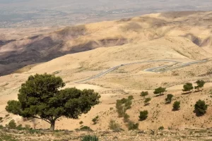 According to biblical tradition, Mount Nebo is where Moses viewed the Promised Land before his death. Visitors can explore the Memorial Church of Moses and enjoy panoramic views of the Jordan Valley, the Dead Sea, and Jerusalem on a clear day.
