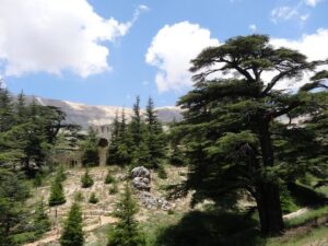 Located in the mountains of northern Lebanon, the Cedars of God is a protected forest of ancient cedar trees, some of which are over 1,000 years old.Visitors can hike through the forest, learn about the significance of the cedars in Lebanese culture, and enjoy the peaceful surroundings.