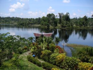 A nature reserve with a serene lake and lush rainforest, offering a peaceful retreat from the city.