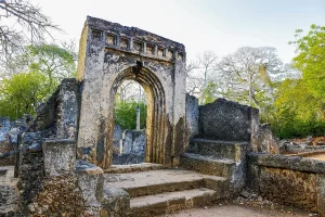 These ancient ruins date back to the 12th century and offer a glimpse into the Swahili civilization. Visitors can explore the remains of a palace, mosque, and houses, surrounded by lush vegetation.