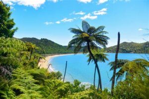 Known for its golden beaches, turquoise waters, and coastal hiking trails, Abel Tasman National Park is a popular destination for outdoor enthusiasts.