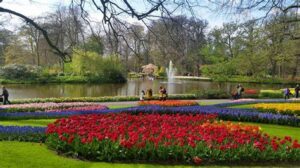 One of the world's largest flower gardens, famous for its stunning displays of tulips and other spring flowers.