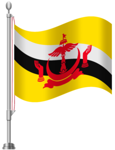 Images of the flag of Brunei.