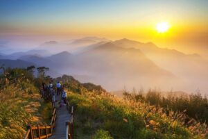 Alishan is renowned for its breathtaking sunrise views, ancient cypress trees, and the famous Alishan Forest Railway. Tourists can hike through the scenic trails, enjoy the cherry blossoms in spring, and experience the unique culture of the indigenous Tsou people.