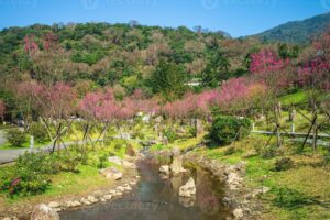 Just outside of Taipei, Yangmingshan is known for its hot springs, volcanic landscapes, and beautiful flower gardens.Visitors can hike the various trails, soak in the hot springs, and enjoy the stunning views of the surrounding mountains and Taipei city.