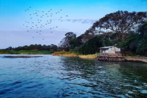 The largest lake in Ethiopia, it features numerous islands with ancient monasteries and stunning scenery, ideal for boat trips and birdwatching.