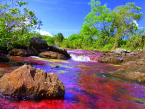 Often referred to as the "River of Five Colors," Caño Cristales is famous for its vibrant aquatic plants that create a stunning display of colors. This natural wonder is located in the Sierra de la Macarena National Park.