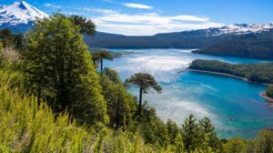 This picturesque region is characterized by stunning lakes, lush forests, and snow-capped volcanoes. It offers numerous outdoor activities, including hiking, kayaking, and fishing, as well as charming towns like Puerto Varas.