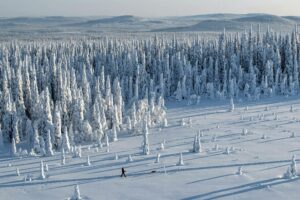 Famous for its stunning winter landscapes, Lapland is a magical destination known for the Northern Lights, reindeer, and Santa Claus Village in Rovaniemi.