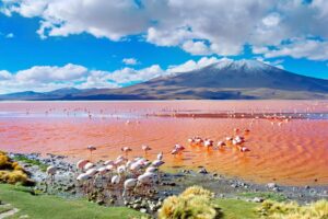 The world's largest salt flat, Salar de Uyuni is a breathtaking expanse of white salt crust that creates a mirror effect during the rainy season. Visitors can explore the unique landscape, see the iconic cactus-covered Isla Incahuasi, and enjoy stunning sunsets.