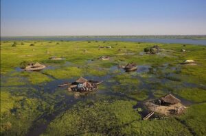 One of the largest wetlands in the world, the Sudd is a unique ecosystem teeming with wildlife. Visitors can experience the beauty of this natural wonder through boat trips and birdwatching, as it is home to numerous migratory birds and other wildlife.