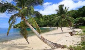 Often called the "Garden Island," Taveuni is famous for its lush rainforests, waterfalls, and stunning hiking trails, including the Bouma National Heritage Park.