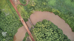 The Sanaga River is the longest river in Cameroon and offers opportunities for canoeing, fishing, and exploring the lush riverbanks. The river's scenic beauty and diverse ecosystems make it a great spot for eco-tourism.