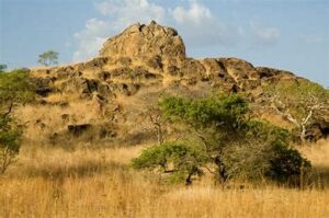 Located in the northern region, Waza National Park is renowned for its wildlife, including elephants, lions, and various bird species. The park's savannah landscape provides a stunning backdrop for safaris and wildlife photography.