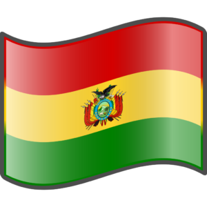 Image of the flag of Bolivia.