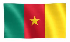 Image of the flag of Cameroon.