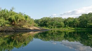 A UNESCO Biosphere Reserve, Darien National Park is one of the most biodiverse regions in the world. Visitors can explore its lush rainforests, spot unique wildlife, and experience the rich culture of indigenous communities.