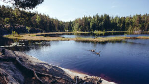 Just outside Helsinki, this park features picturesque forests, tranquil lakes, and numerous hiking trails, perfect for nature lovers and outdoor enthusiasts.