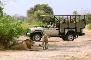 A wildlife sanctuary, renowned for its lush landscapes and incredible biodiversity, including elephants, lions, and over 500 bird species. It is one of the top conservation sites for tourists in Mozambique.