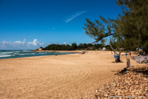 Known for its beautiful beaches and vibrant coral reefs, Tofo is a popular spot for scuba diving, whale shark sightings, and relaxed beach vibes.