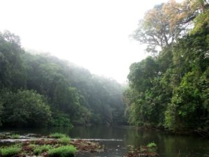 An untouched part of West Africa’s biodiversity hotspot, Gola Rainforest is a vast expanse of forest with rare wildlife like chimpanzees. It’s perfect for adventure seekers and eco-tourists.