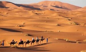 The vast golden dunes of the Sahara Desert offer an unforgettable experience of silence and awe-inspiring beauty. Camel trekking through the desert’s ever-changing landscapes is a must-do adventure.