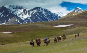 Located in the far west, the Altai Mountains are home to some of Mongolia's most dramatic scenery, with rugged peaks, glaciers, and valleys. This area is also known for the Kazakh eagle hunters, who use golden eagles to hunt for game.