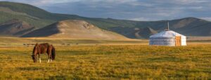 This park is home to the Przewalski's horse, a rare wild horse species that was reintroduced here. It’s a great place for hiking and wildlife watching, with beautiful steppe landscapes and views of the surrounding hills.